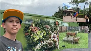 We had a &ldquo;WILD&rdquo; Day at Disney&rsquo;s Animal Kingdom!  Tropical Americas UPDATE