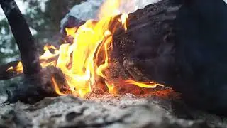 Burning wood produces much lower carbon dioxide emissions than other alternative fuels.