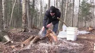 Test et conception d'une saline avec Minéraux
