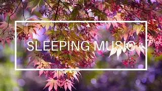 Starlight Slumber | 1 Hour of Soothing Sleep Music for Relaxation & Dreamy Sleep
