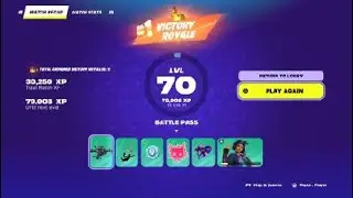 Fortnite winss