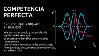 COMPETENCIA PERFECTA #2