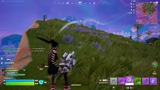 Fortnite_20260108230727