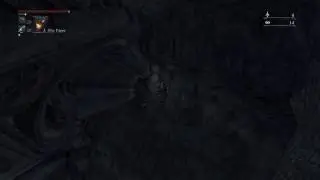 Bloodborne - Fall Bug