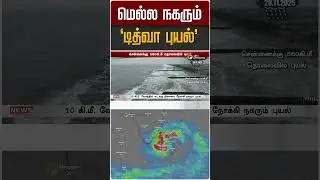 மெல்ல நகரும் 'டித்வா புயல்' | Cyclone | TN Weather | TN Rain