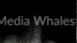 Splash of white powder isolated on black background. Stock footage. Close up for white abstract snow
