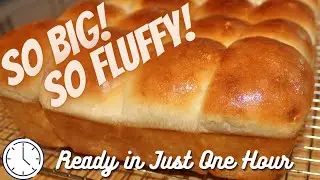 The Best Fluffy DINNER ROLLS Recipe | Soft And Buttery