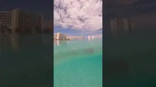 Aventura en Canc&uacute;n: Snorkel y Buceo en el Caribe