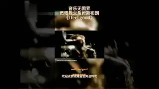 I feel good 😂#reels #funny #迷因 #sneeze #sneezes #feel #good