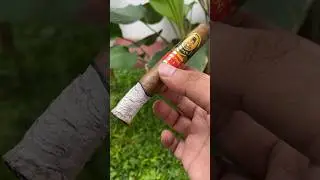 CERUTU KESUKAAN SULTAN JOGJA (Tarumartani) #cigars #shorts