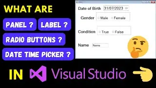 How to use Radio Buttons, Panels, Labels and DateTimePicker in Visual Studio Coding in C#