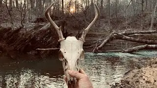 &ldquo;First Deadhead Of The Year, Arrowhead Hunting North Georgia&rdquo;