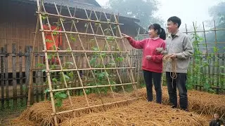 The Trellis Is Finished In a Few Weeks It’ll Be Lush and Green—More Veggies for Family Meals