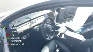 Pisicela - twarz  IRL