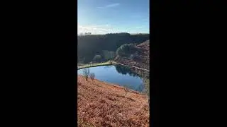 High Simulated Clay Pigeon Shooting