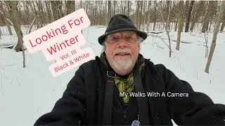 Looking For Winter Vol  III