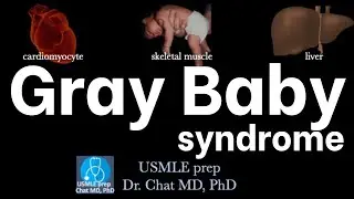 Gray Baby Syndrome/ Pathophysiology 【USMLE, biochemistry】