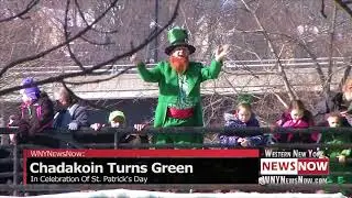 Chadakoin River Turns Green In Celebration Of St. Patrick's Day