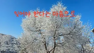 #잊어야 한다는 마음으로 _김광석 #Array Mbira ,어레이엠비라 연주