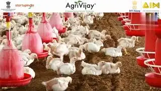 AgriVijay : Poultry Raking Machine | पोल्ट्री रेकिंग मशीन