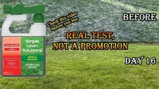 Simple Lawn Solutions | Liquid Spray Concentrated Starter Fertilizer with Humic Acid | Lawn Booster