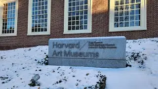 Harvard Art Museums, Dec in 2025