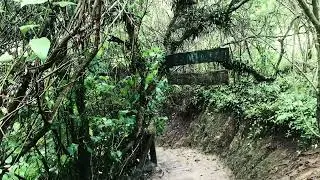 Caserio Chacauco. Parroquia Cotal&oacute;, cant&oacute;n Pelileo. Provincia del Tungurahua-Ec. Antolog&iacute;a