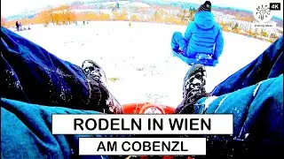 RODELBAHN WIEN COBENZL | TEST 2021
