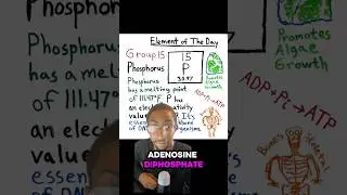 PHOSPHORUS: ELEMENT OF THE DAY ⚛️ #science #shorts #detroit #education #detroitscienceguy #chemistry