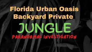 Florida Urban Oasis Backyard Private Jungle Paranormal Investigation