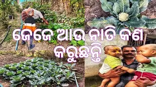 ଜେଜେ ଆଉ ନାତି କଣ କରୁଛନ୍ତି 