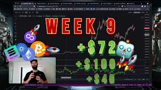 Building Profitable Trading Bots - Easy Peasy $72 - Week 9