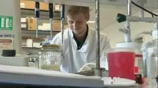Mathew Hayley on transfection efficiency