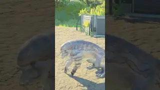 D.Rex vs 