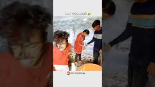 gobar ka holi 😅