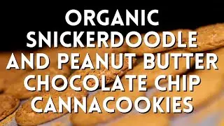 New Cannacookies! Legal and Potent, Organic Snickerdoodles and Peanut Butter Chocolate Chip 🍪