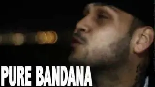 Pure Bandana 