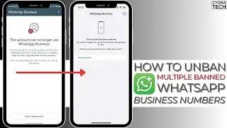🚫 Как быстро разбанить несколько бизнес-номеров WhatsApp