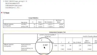 F-тест Левена для равных дисперсий генеральной совокупности в SPSS