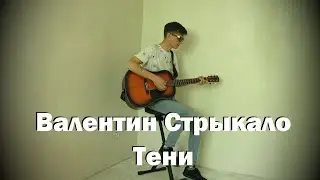 Валентин Стрыкало - Тени (кавер, cover)