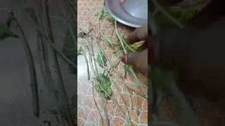 #shorts #shortsvideo #shortsviral #puthina #valarpu #murai