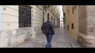 Valencia Park and Old City walk 