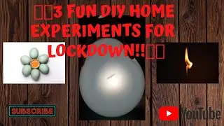 3 FUN DIY HOME EXPERIMENTS FOR LOCKDOWN | TRIGGERED SCIENCE |