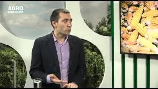 Influența emisiilor de gaze cu efect de seră asupra sectorului agricol