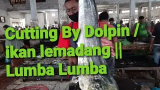 DOLPIN FISH CUTTING || REGULARLY FISH CUTTING SKILLS || Poenya Channel