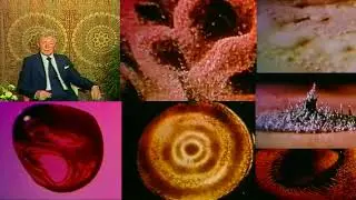 Cymatics Clip & Oscilloscope chat