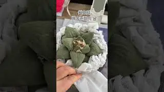 010-5439-5430청유리원#succulent #논산 #선인장전문