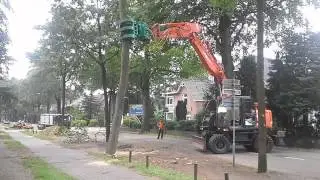 boomverzorging verkleij bomen rooien met kraan
