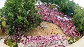 Elephant Stomp | The University of Alabama