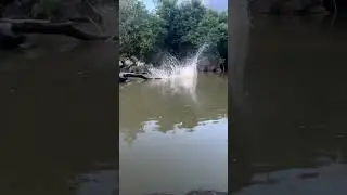#splash #satisfying #slowmotion #waterdrop #asmr  #relaxingvideos #shortsviral #naturevideo #visual